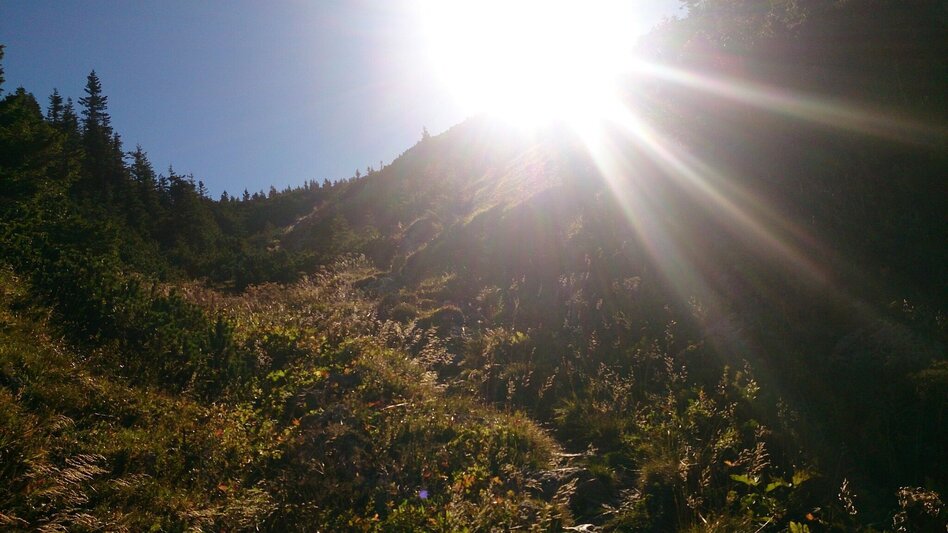 Hiking route Etappe 06: BergZeitReise - von Neuberg an der Mürz auf die Schneealm - Touren-Impression #2.2 | © TV Hochsteiermark