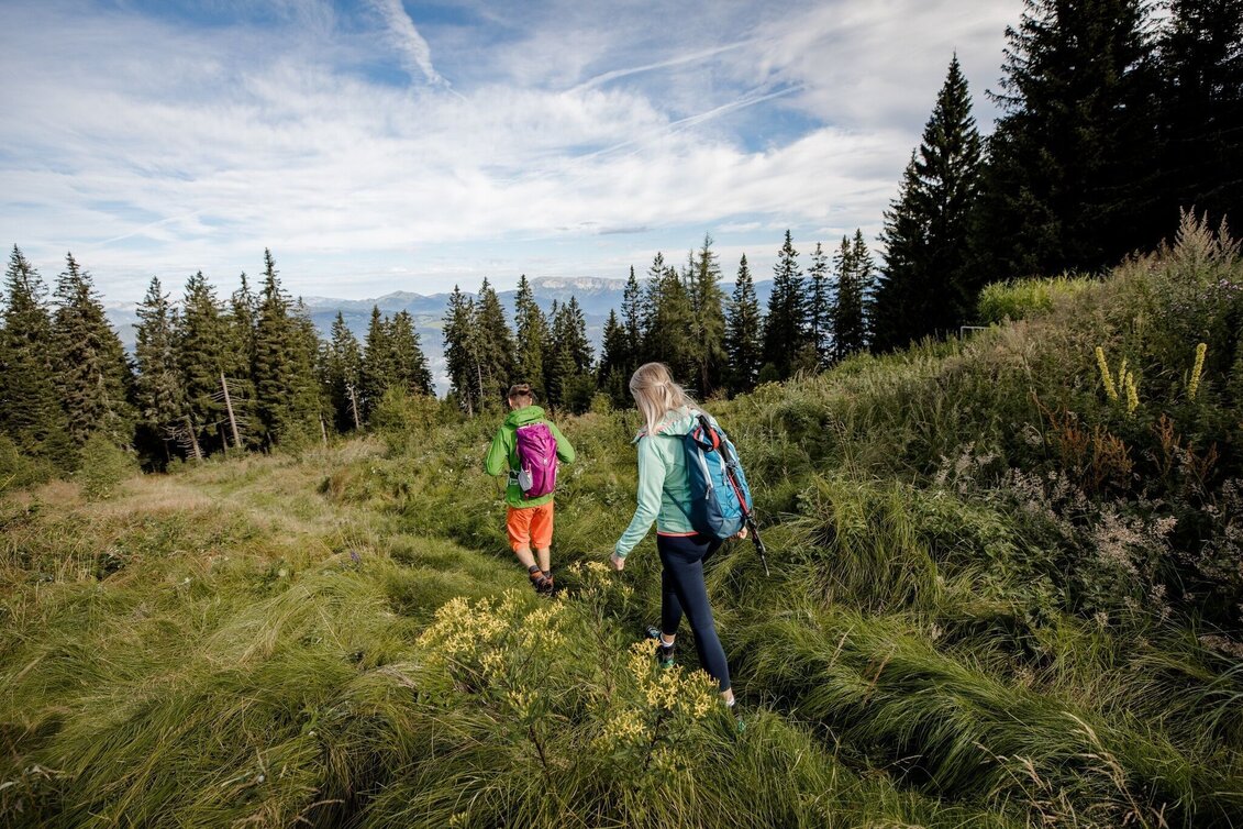 Hiking route Etappe 11: BergZeitReise Stanglalm - Kindberg - Touren-Impression #1 | © Hochsteiermark