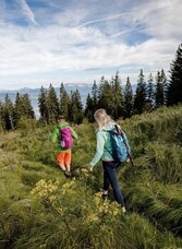 Wanderung Richtung Stanglalm | © Hochsteiermark | nicoleseiser.at | © Hochsteiermark