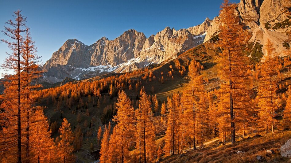 Wanderung Roseggersteig - Touren-Impression #2.1 | © Erlebnisregion Schladming-Dachstein