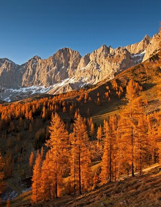 Roseggersteig - Brandriedel | Tourismusverband Schladming-Dachstein | © Erlebnisregion Schladming-Dachstein