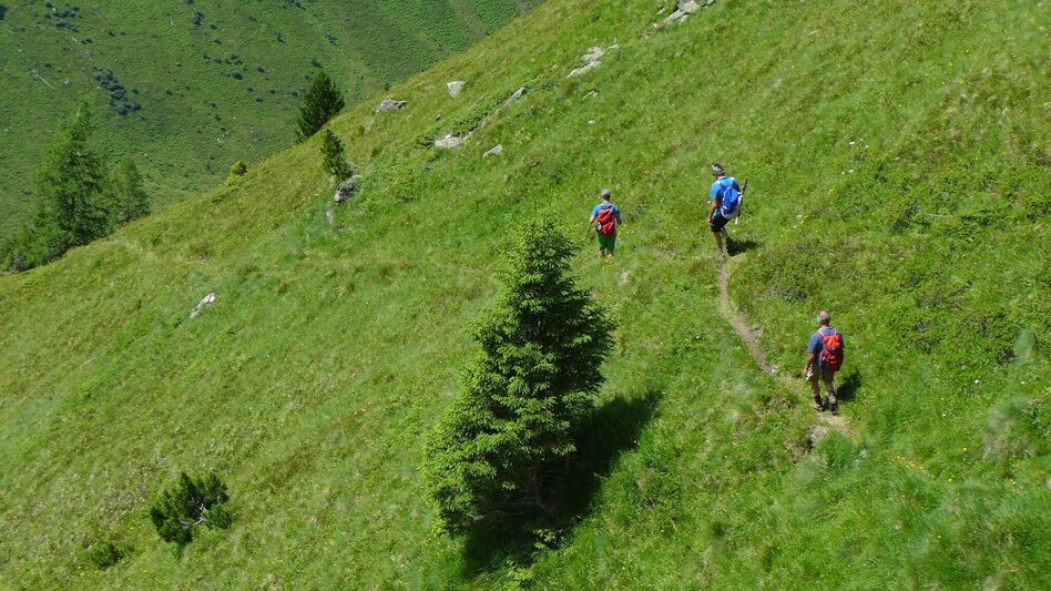 Regional hiking trail Seekarlsee - Caribbean feeling guaranteed - Touren-Impression #2.7 | © Fotograf: Volkhard Maier