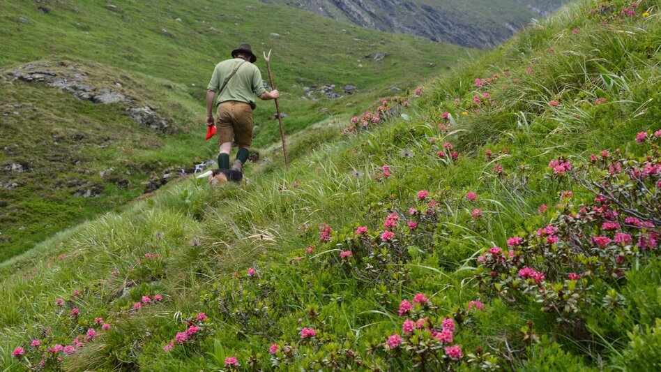 Regional hiking trail Seekarlsee - Caribbean feeling guaranteed - Touren-Impression #2.5 | © Fotograf: Volkhard Maier