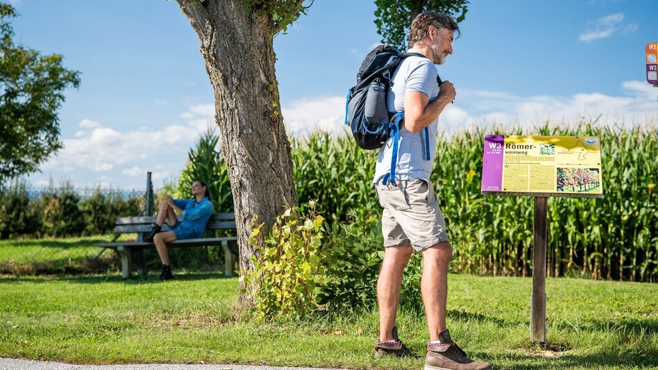 Themen- und Lehrpfad W3 Römerweinweg - Bad Waltersdorf - Touren-Impression #2.1 | © Erlebnisregion Thermen- & Vulkanland