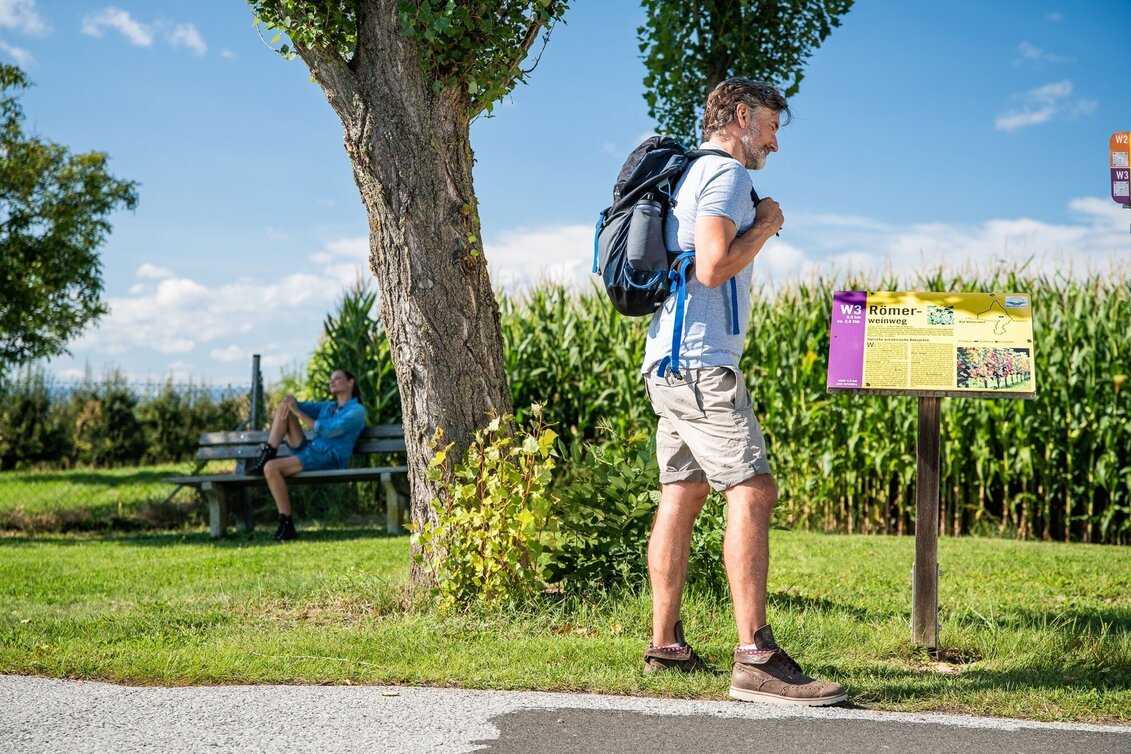 Themen- und Lehrpfad W3 Römerweinweg - Bad Waltersdorf - Touren-Impression #1 | © Erlebnisregion Thermen- & Vulkanland