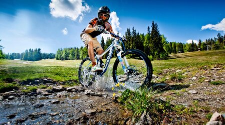 Mountainbiken auf der Frauenalpe | © Tourismusverband Murau | Tom Lamm | © Tourismusverband Murau
