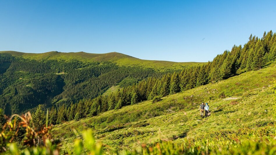 Hiking route "Über Alm und Stein" - Vom Salzstiegl auf den Amering - Touren-Impression #2.9 | © Region Graz