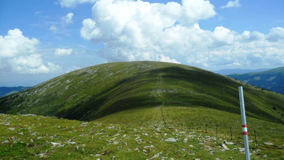 Hiking route "Über Alm und Stein" - Vom Salzstiegl auf den Amering - Touren-Impression #2.5 | © Region Graz