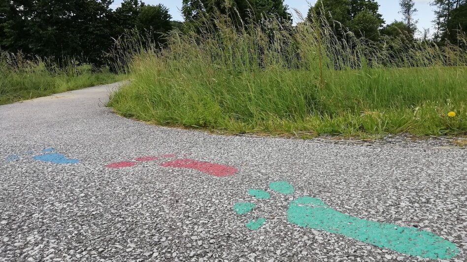 Theme path Wise guy trail (Schlaumeier-Weg) - Touren-Impression #2.4 | © Thermen- & Vulkanland