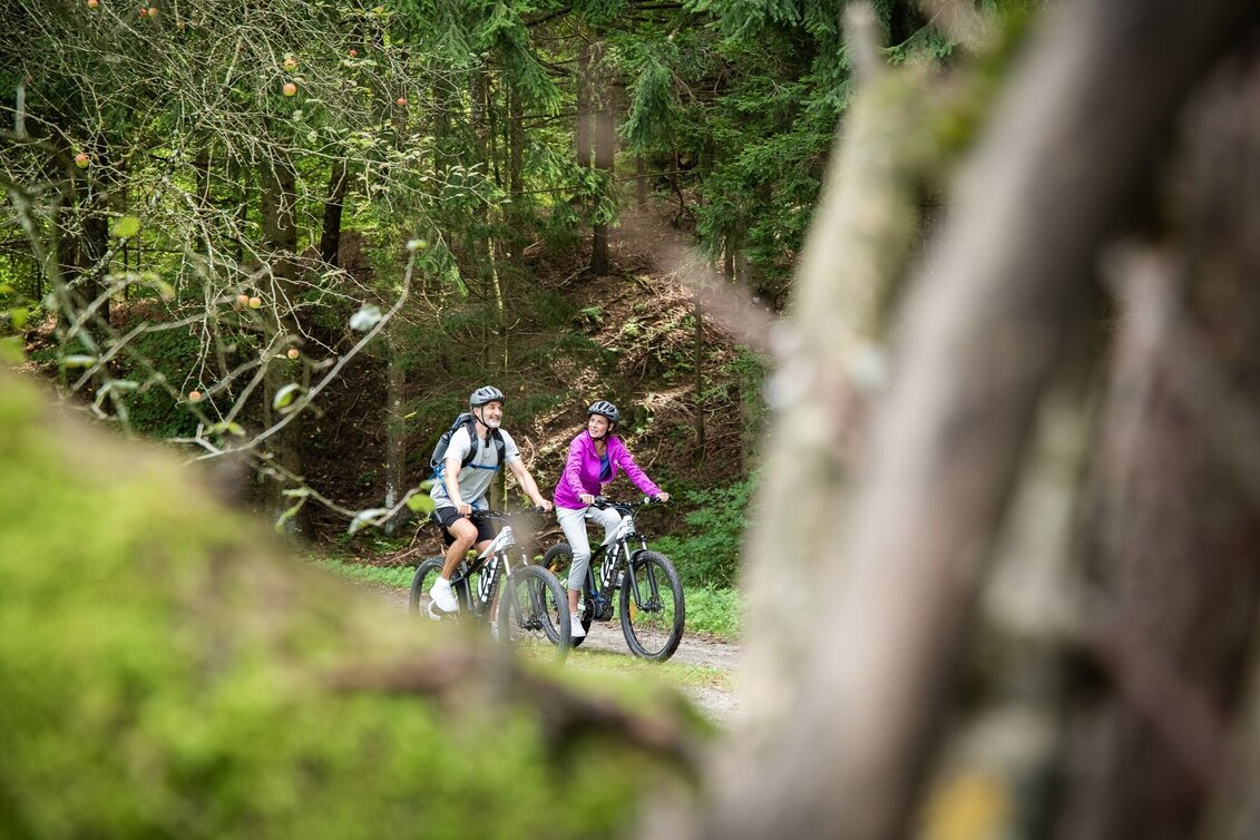 Bike Riding Hartberger bike path (Hartberger-Radweg) - Touren-Impression #1 | © Thermen- & Vulkanland