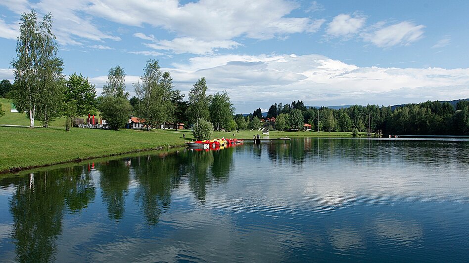 Radfahren Weinland Steiermark Radtour Variante Lipizzanerheimat - Touren-Impression #2.2 | © Region Graz