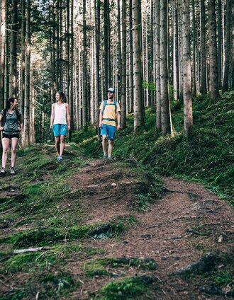 heiligenbrunn-rundwanderweg_img_45906329 | Armin Walcher | © Erlebnisregion Schladming-Dachstein