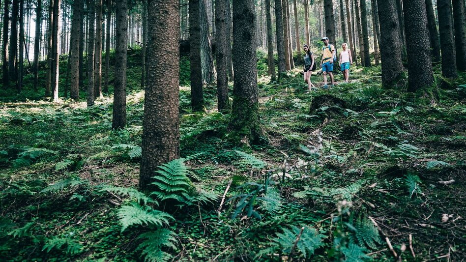 Wanderung Heiligenbrunn-Rundwanderweg - Touren-Impression #2.3 | © Erlebnisregion Schladming-Dachstein
