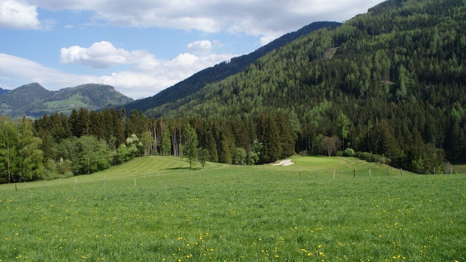 Wanderung Pürglitz-Rundwanderweg - Touren-Impression #2.7 | © Erlebnisregion Schladming-Dachstein
