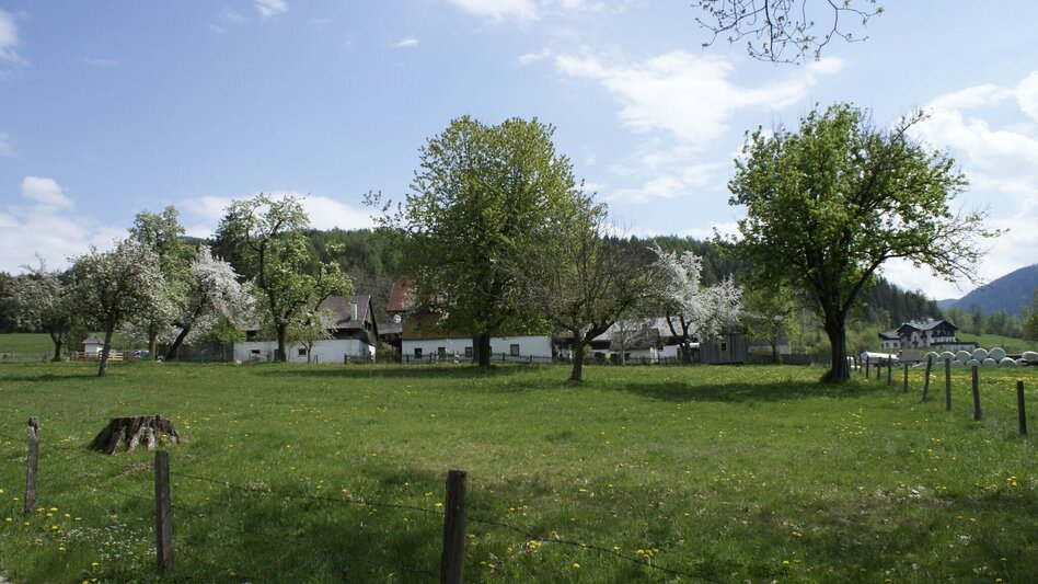 Wanderung Pürglitz-Rundwanderweg - Touren-Impression #2.1 | © Erlebnisregion Schladming-Dachstein