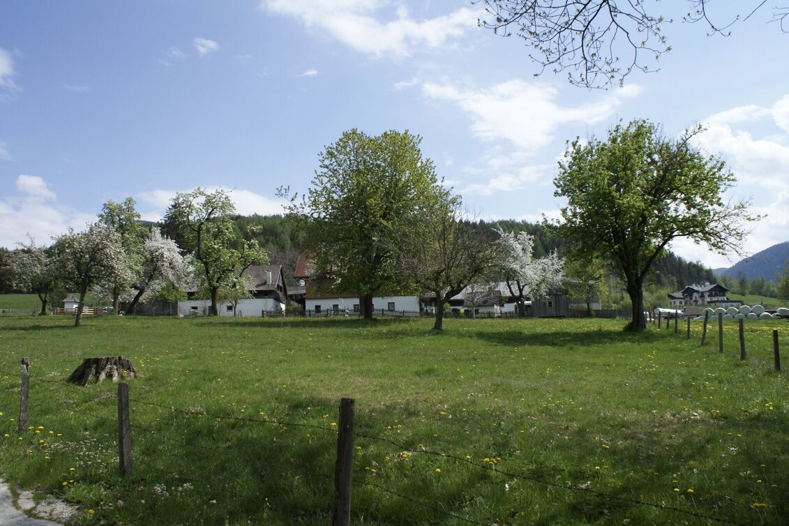 Wanderung Pürglitz-Rundwanderweg - Touren-Impression #1 | © Erlebnisregion Schladming-Dachstein