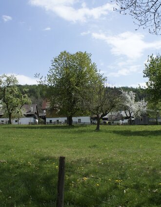 Unterwegs am Pürglitz-Rundwanderweg | © Erlebnisregion Schladming-Dachstein