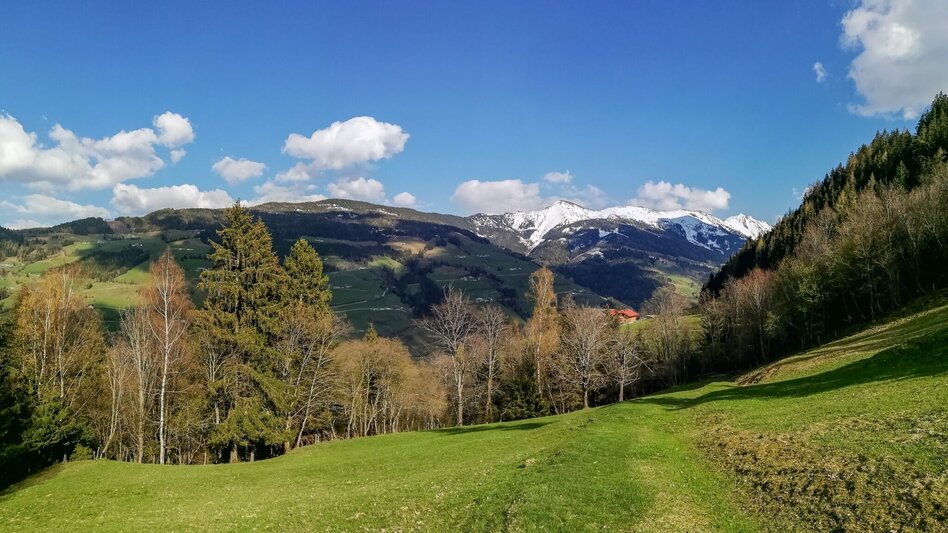 Hiking route Roundway Obermoser - Touren-Impression #2.2 | © Erlebnisregion Schladming-Dachstein