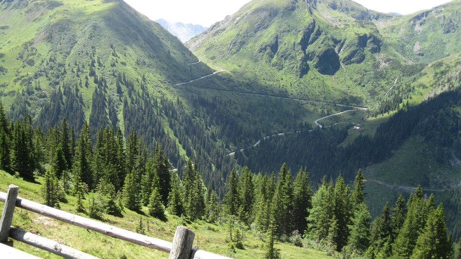 Wanderung Mahdfeldalm Rundwanderung - Touren-Impression #2.4 | © Fotograf: Volkhard Maier