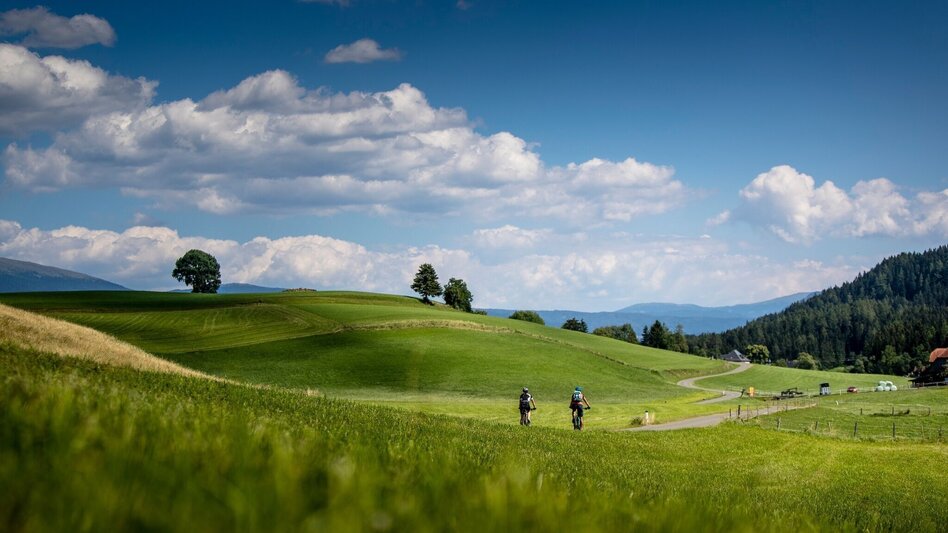 Bike Riding Via Natura bike paths - Touren-Impression #2.2 | © Tourismusverband Murau