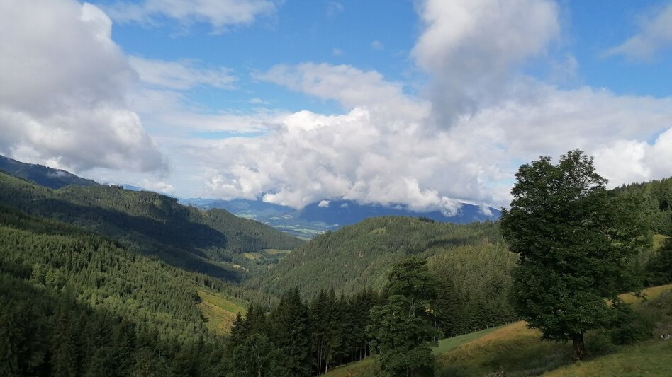 Wanderung Grasslherrgott-Rundwanderweg - Touren-Impression #2.2 | © Erlebnisregion Schladming-Dachstein