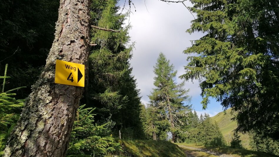 Wanderung Grasslherrgott-Rundwanderweg - Touren-Impression #2.3 | © Erlebnisregion Schladming-Dachstein