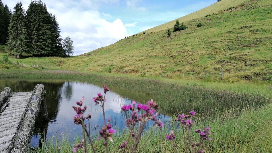 Wanderung Grasslherrgott-Rundwanderweg - Touren-Impression #2.4 | © Erlebnisregion Schladming-Dachstein