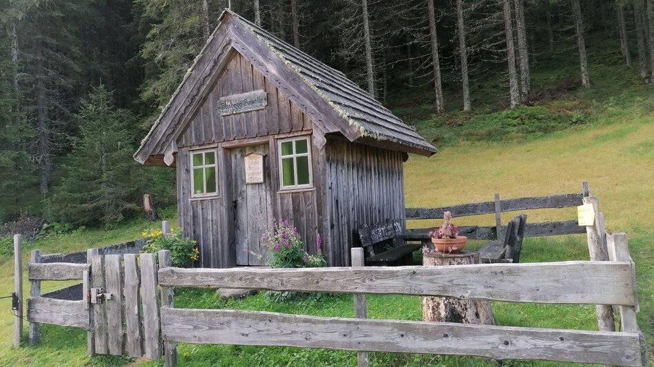 Wanderung Grasslherrgott-Rundwanderweg - Touren-Impression #2.5 | © Erlebnisregion Schladming-Dachstein