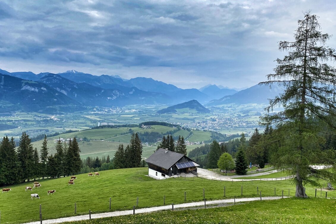 Wanderung Grasslherrgott-Rundwanderweg - Touren-Impression #1 | © Clemens Egger