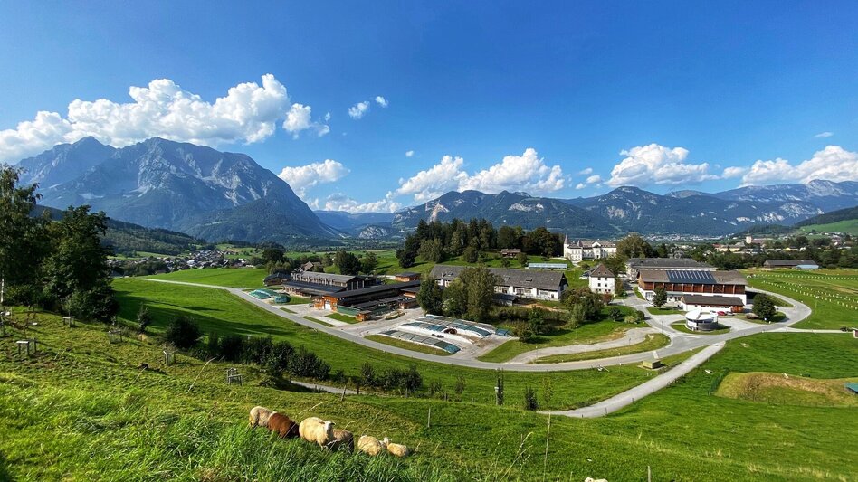 Wanderung Raumberg-Rundweg - Touren-Impression #2.1 | © Clemens Egger