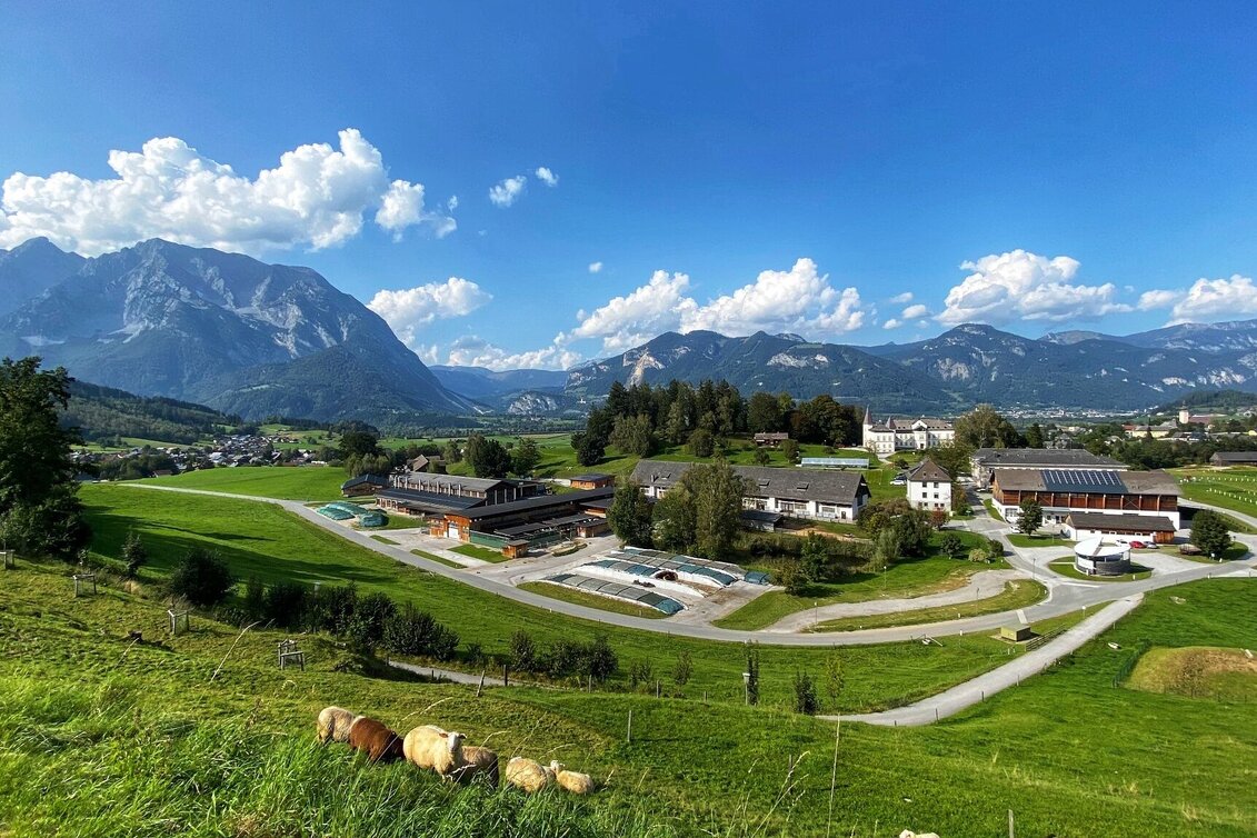 Wanderung Raumberg-Rundweg - Touren-Impression #1 | © Clemens Egger