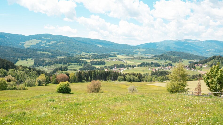 Wanderung Mühlner Dorfrunde - Touren-Impression #2.1 | © Tourismusverband Murau