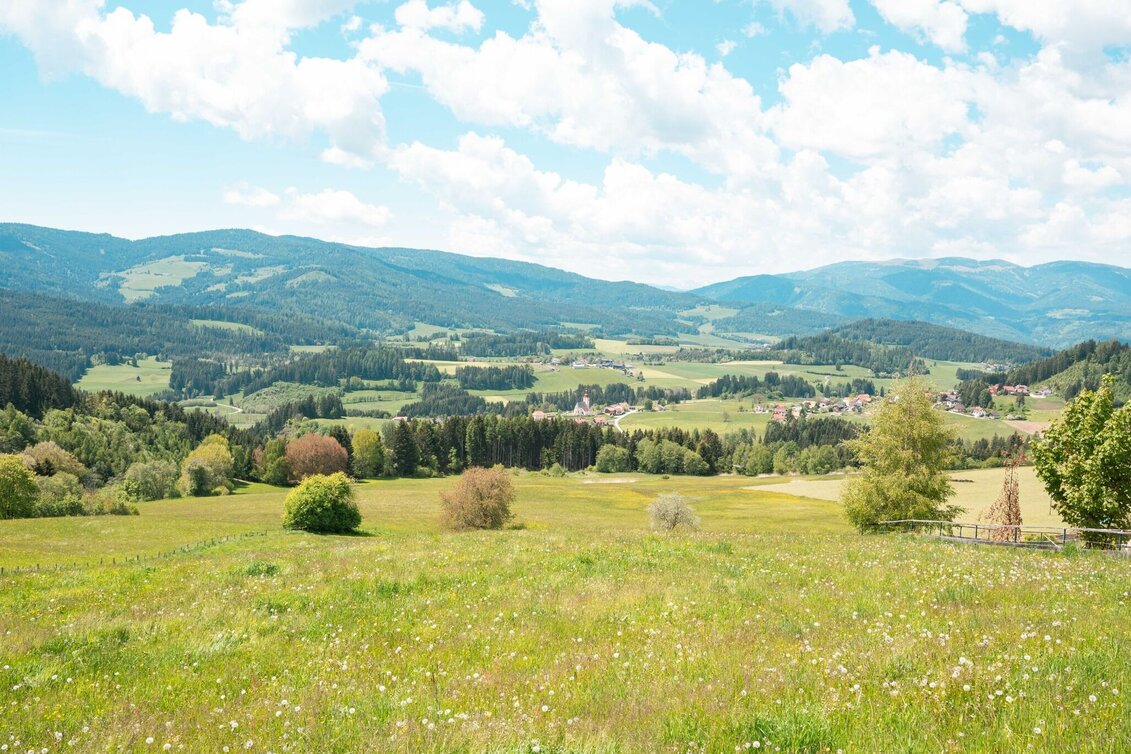 Wanderung Mühlner Dorfrunde - Touren-Impression #1 | © Tourismusverband Murau