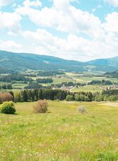 Ausblick auf Mühlen | © Tourismusverband Murau | René Hochegger | © Tourismusverband Murau