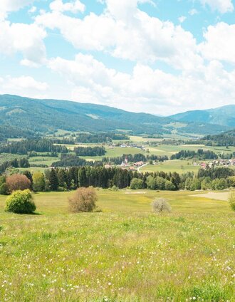 Ausblick auf Mühlen | René Hochegger | © Tourismusverband Murau