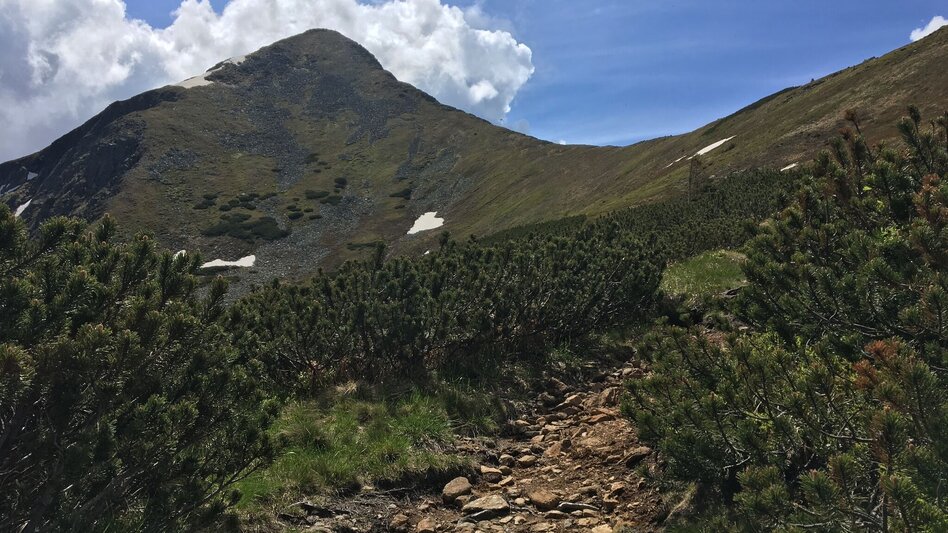 Mountain Hike Hornfeldspitze 2.277m - Touren-Impression #2.6 | © Erlebnisregion Schladming-Dachstein