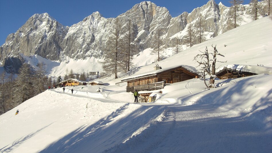 Sledding Tobogganing via the Ramsau ski trail - Touren-Impression #2.1 | © Erlebnisregion Schladming-Dachstein