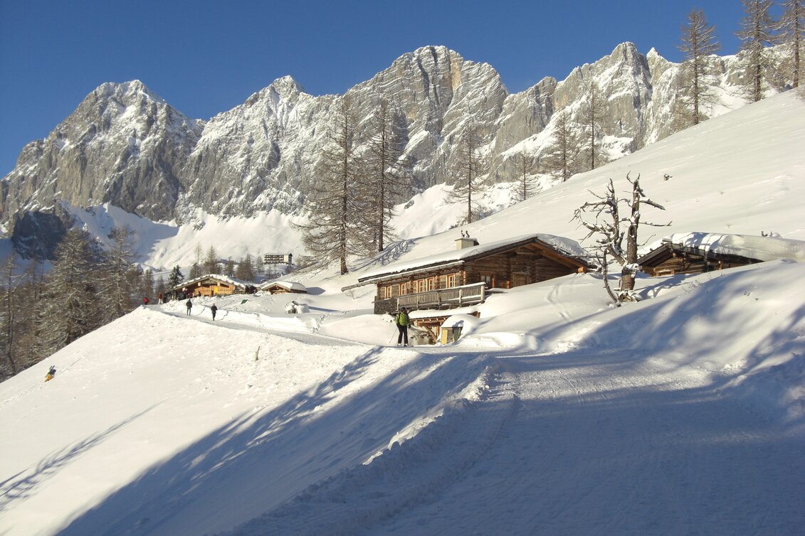 Sledding Tobogganing via the Ramsau ski trail - Touren-Impression #1 | © Erlebnisregion Schladming-Dachstein