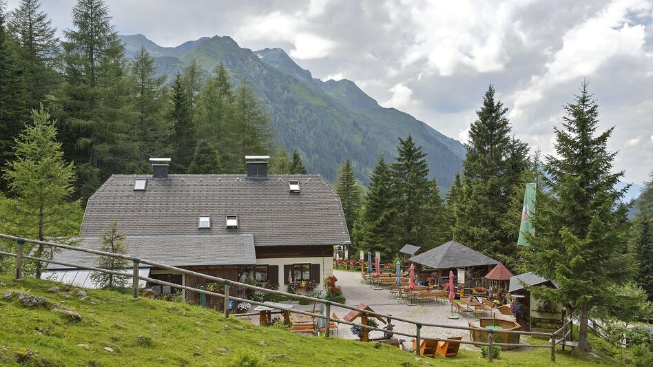 Bergtour Winkleralmkehre - Neunkirchner Hütte - Seifriedalm - Mößna - Touren-Impression #2.2 | © Fotograf: Herfried Marek