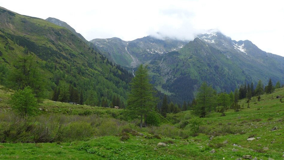 Bergtour Winkleralmkehre - Neunkirchner Hütte - Seifriedalm - Mößna - Touren-Impression #2.5 | © Fotograf: Volkhard Maier