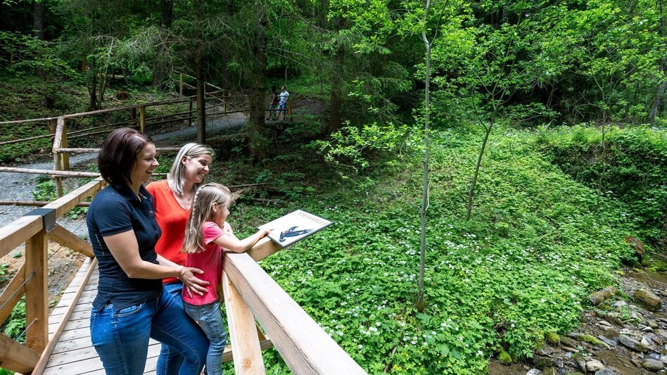 Wanderung Kammersberger Runde mit Erlebniswanderweg "Tierisch Wild" - Touren-Impression #2.3 | © Tourismusverband Murau