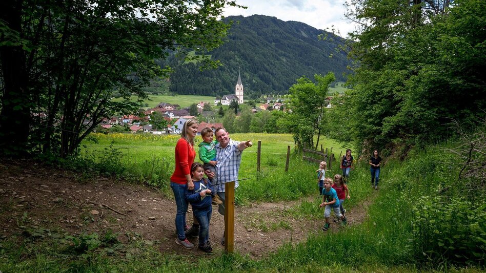 Wanderung Kammersberger Runde mit Erlebniswanderweg "Tierisch Wild" - Touren-Impression #2.4 | © Tourismusverband Murau