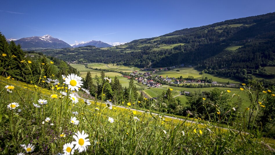 Wanderung Laasen Runde - Touren-Impression #2.1 | © TVB Murau
