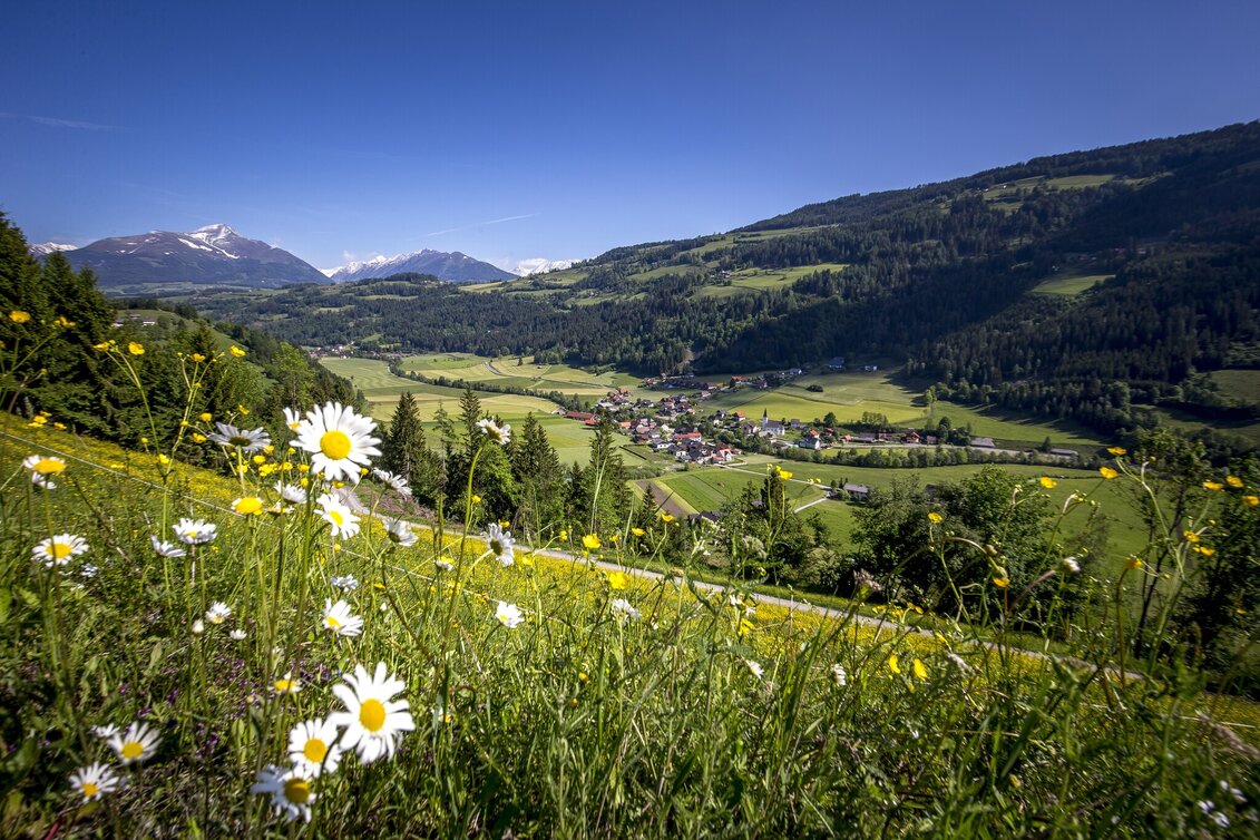 Wanderung Laasen Runde - Touren-Impression #1 | © TVB Murau