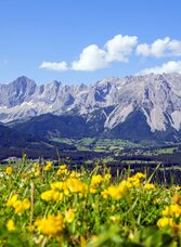 Blick auf den Dachstein | © Steiermark Tourismus/photo-austria.at | photo-austria.at | © Steiermark Tourismus/photo-austria.at