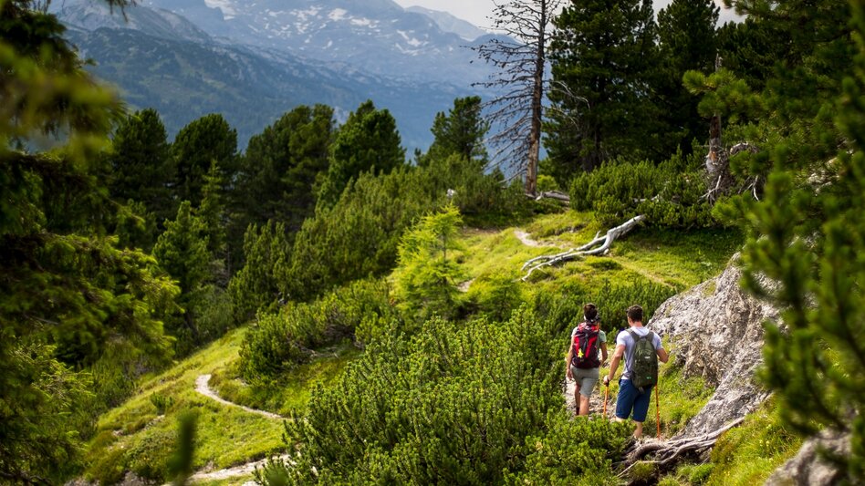 Long-Distance Hiking From the Glacier to the Wine - North Route - Touren-Impression #2.5 | © (c) Steiermark Tourismus / Tom Lamm 
