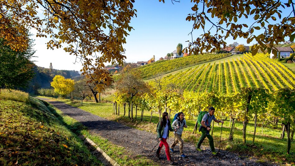 Long-Distance Hiking From the Glacier to the Wine - North Route - Touren-Impression #2.20 | © Steiermark Tourismus/Tom Lamm
