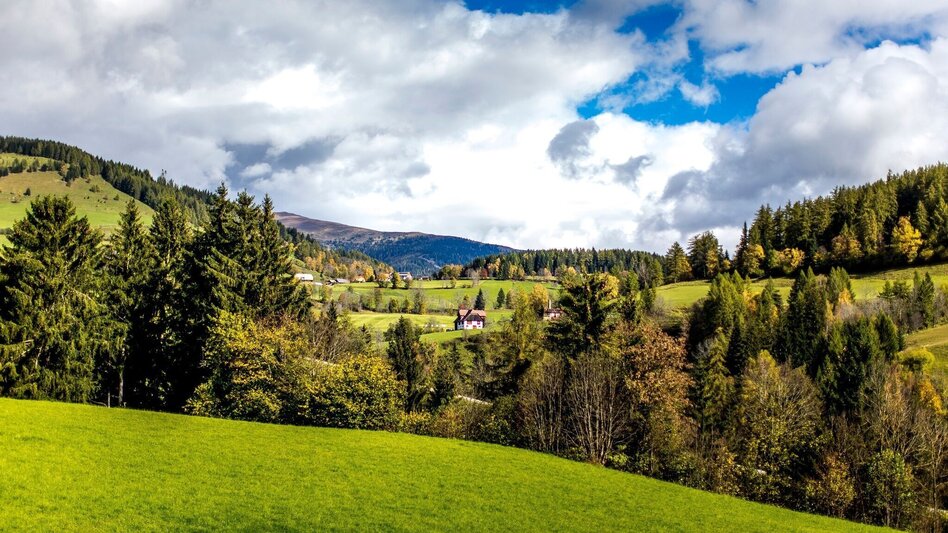 Hiking route Pöllauer round - Touren-Impression #2.1 | © Tourismusverband Murau