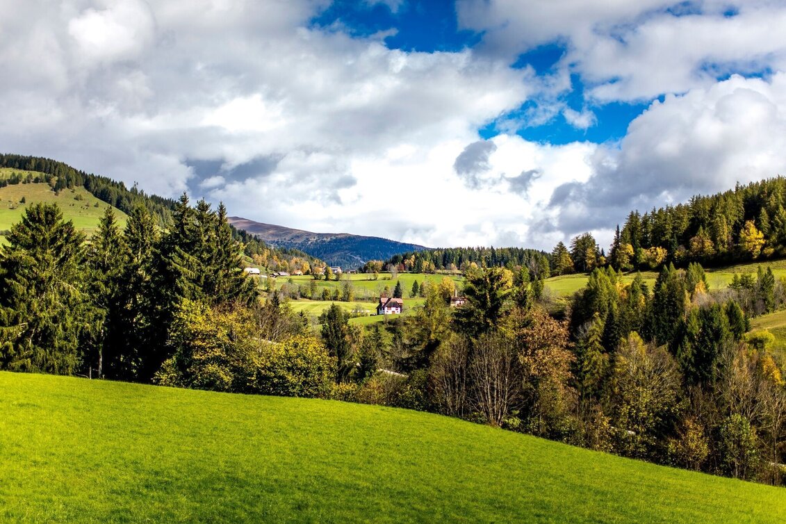 Hiking route Pöllauer round - Touren-Impression #1 | © Tourismusverband Murau