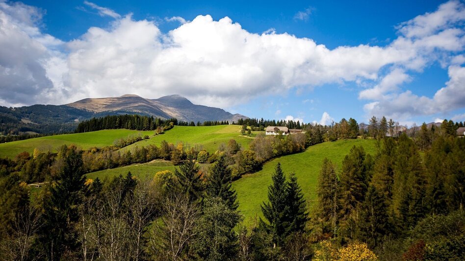Hiking route Pöllauer round - Touren-Impression #2.2 | © Tourismusverband Murau